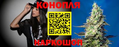 spice Краснознаменск