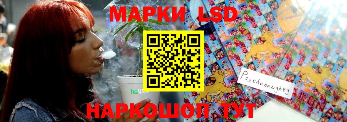 Псилоцибиновые грибы Каменка