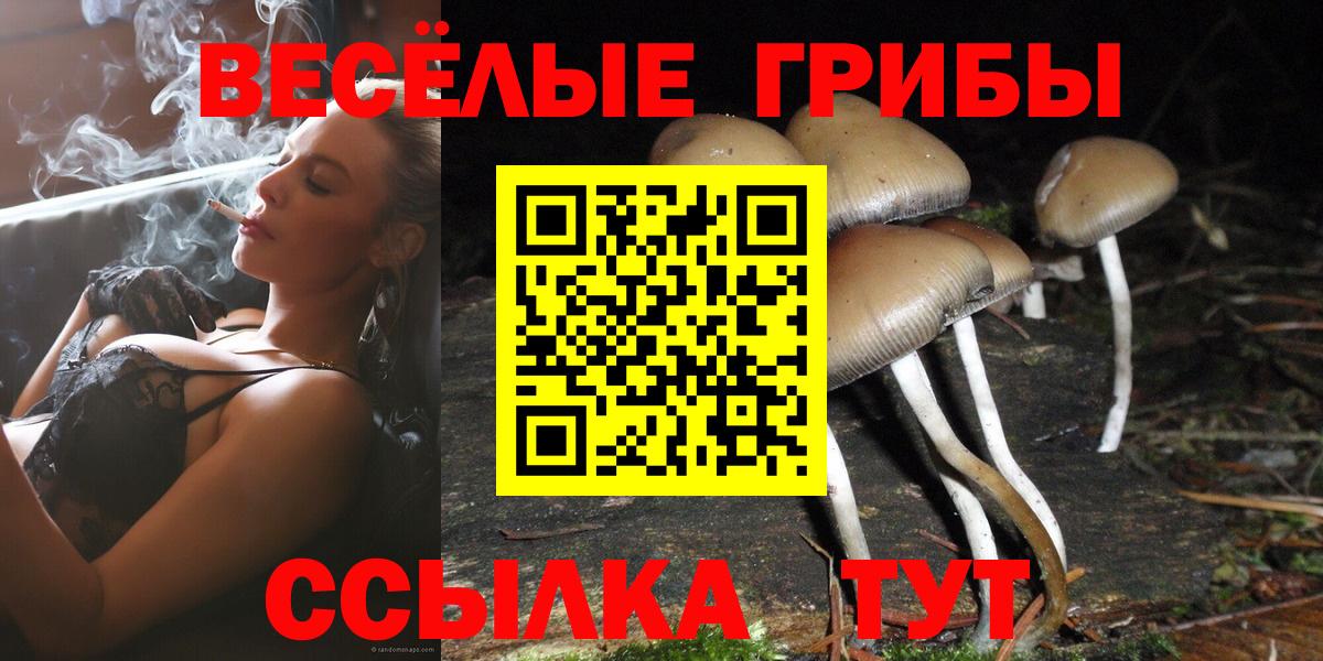 Каменка  Псилоцибиновые грибы мухоморы  Вход с VPN 