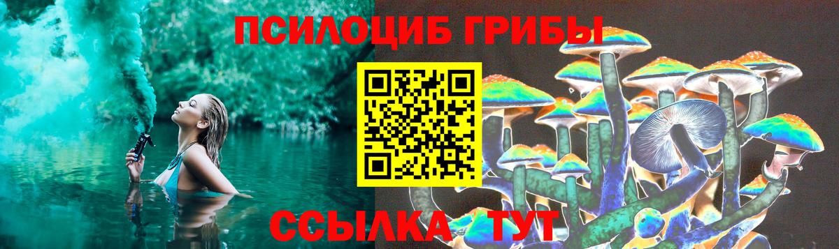 Псилоцибиновые грибы мицелий Каменка