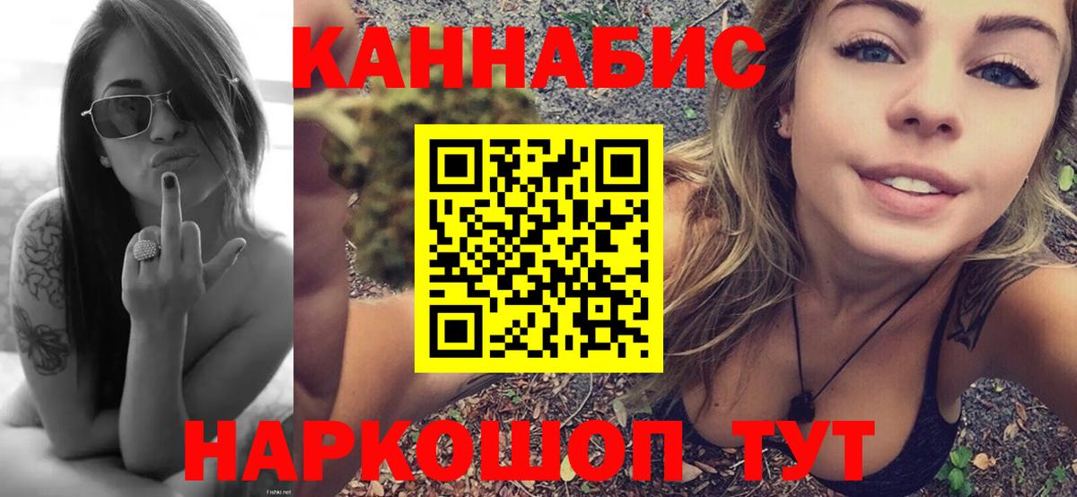 Бошки Шишки план Каменка